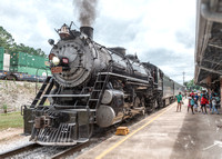 Tennessee Valley Railroad Museum (TVRN)
