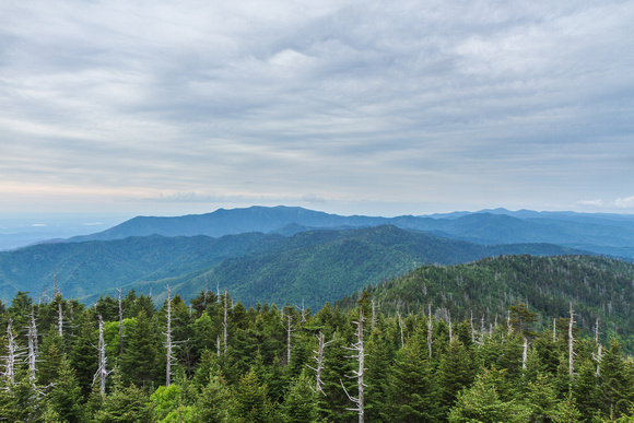View at Clingmans Dome (Mount LaConte in the distance)