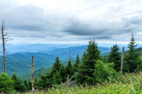 View at Clingmans Dome
